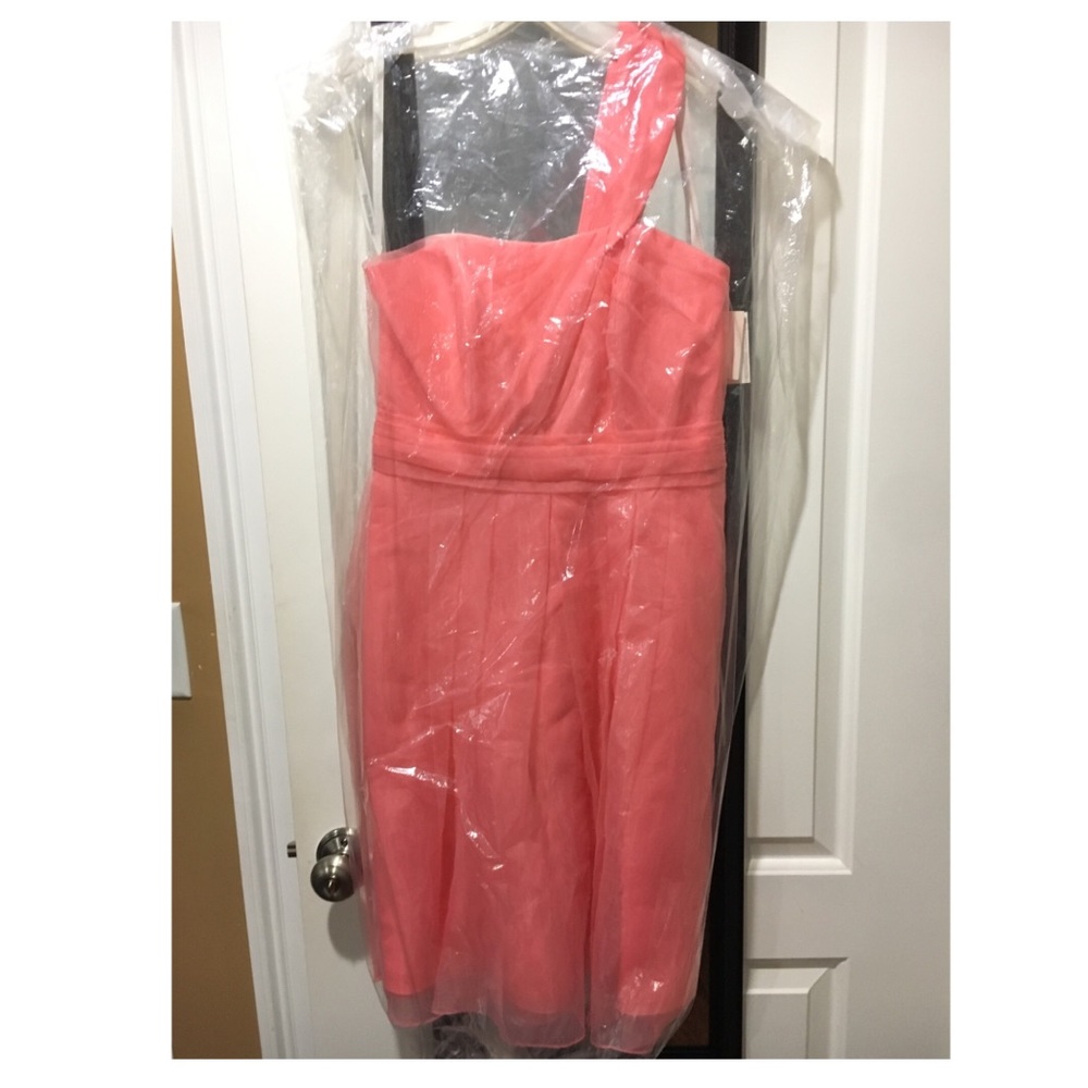 Dress NWT